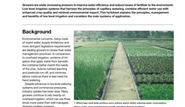 Capillary irrigation of container grown nursery stock